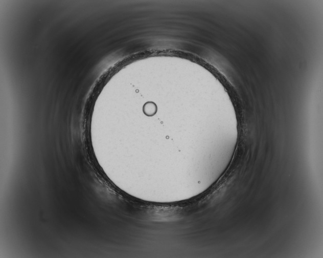 X0000085830832200703231418