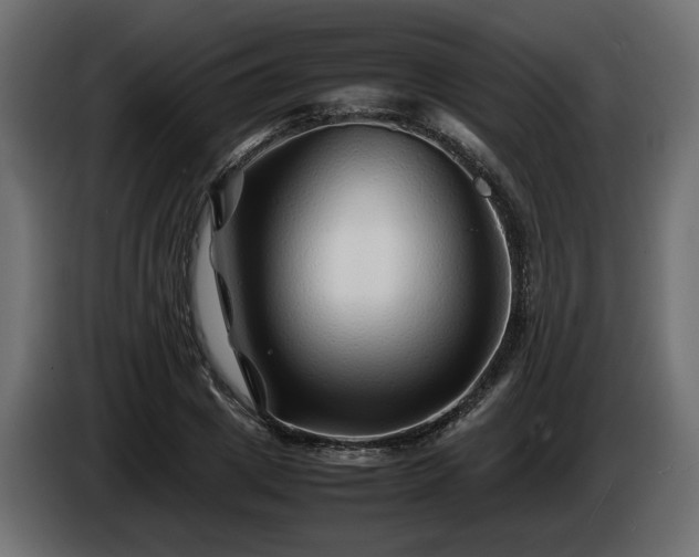 X0000085830833200703231418