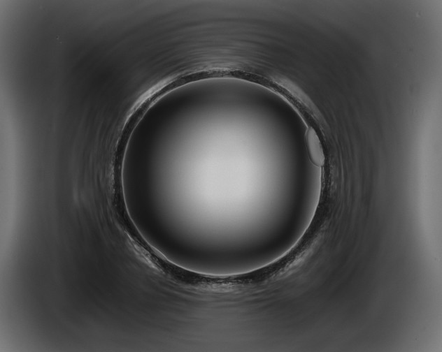 X0000085830834200703231418