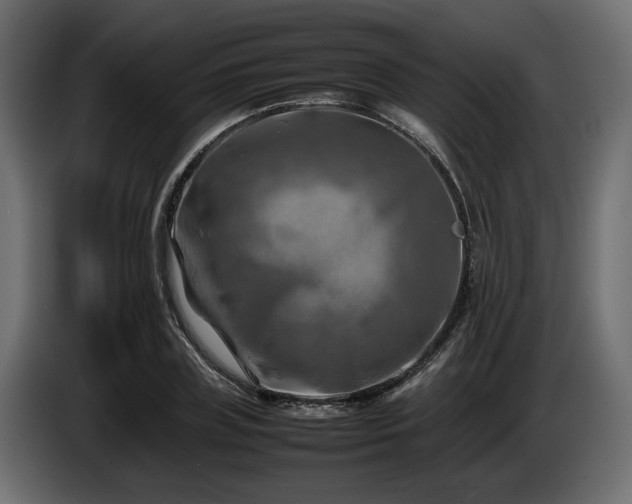 X0000085830835200703231418