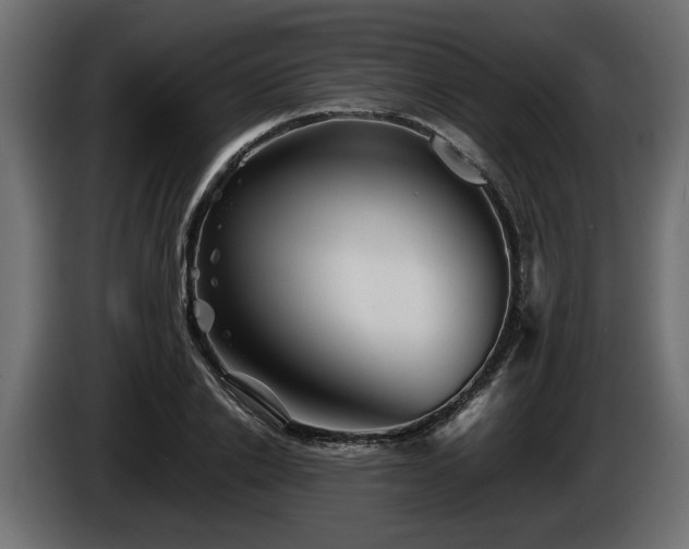 X0000085830838200703231418