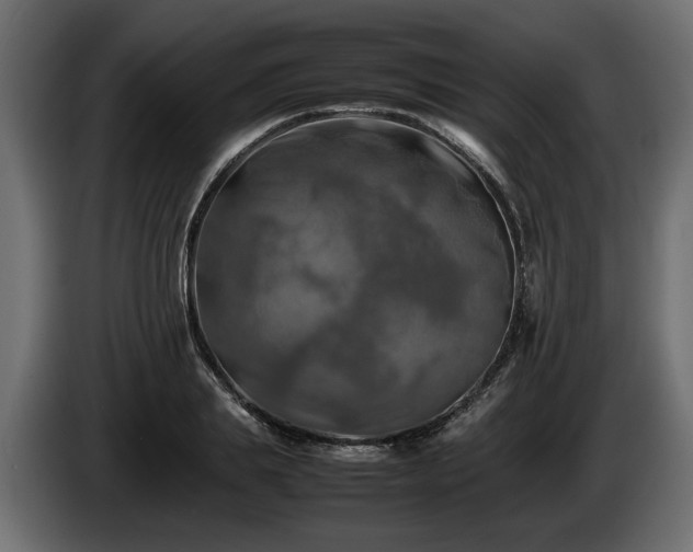 X0000085830839200703231418