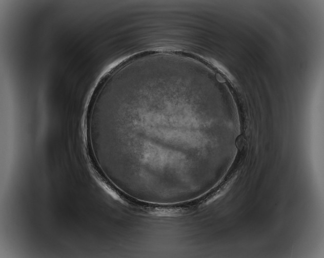 X0000085830840200703231418