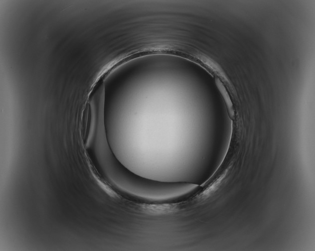 X0000085830842200703231418