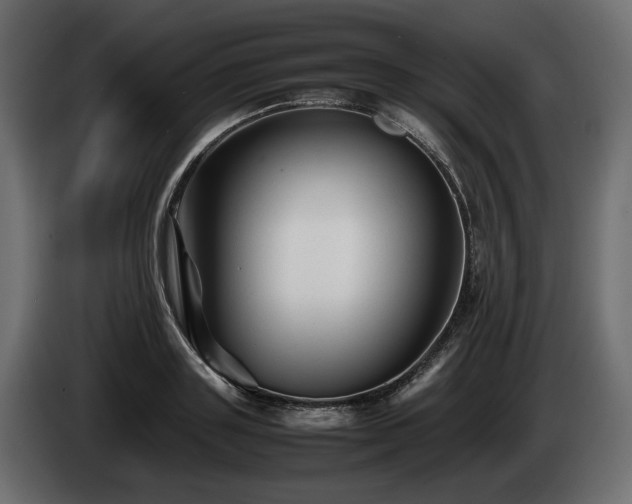 X0000085830843200703231418