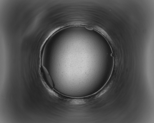 X0000085830844200703231418