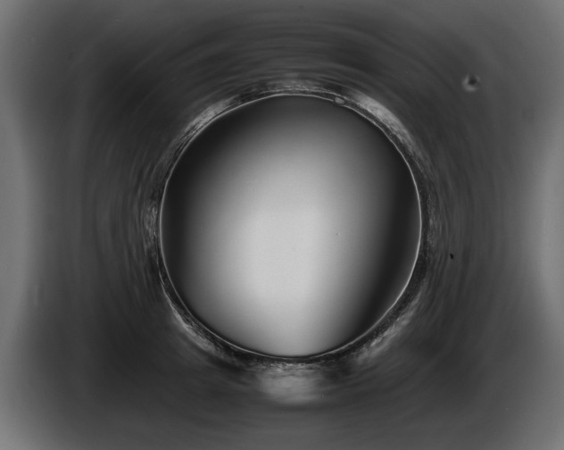 X0000085830849200703231418