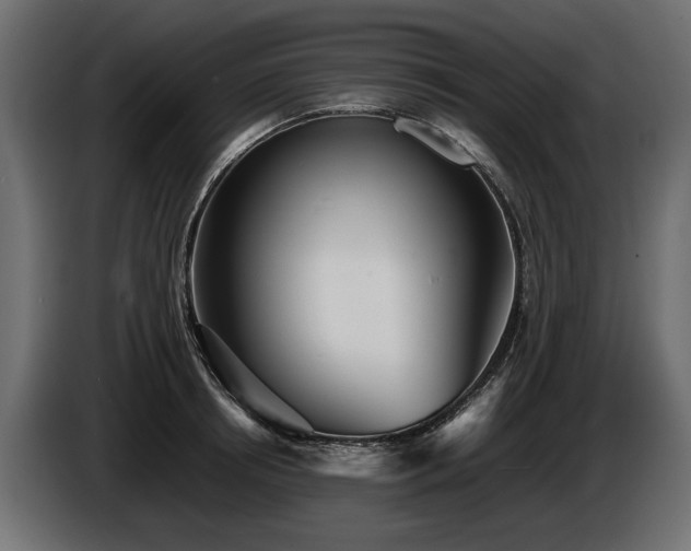 X0000085830850200703231418