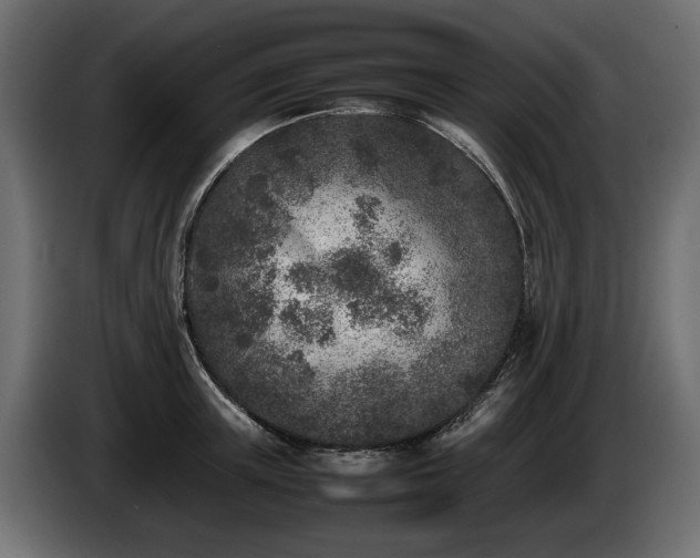 X0000085830851200703231418