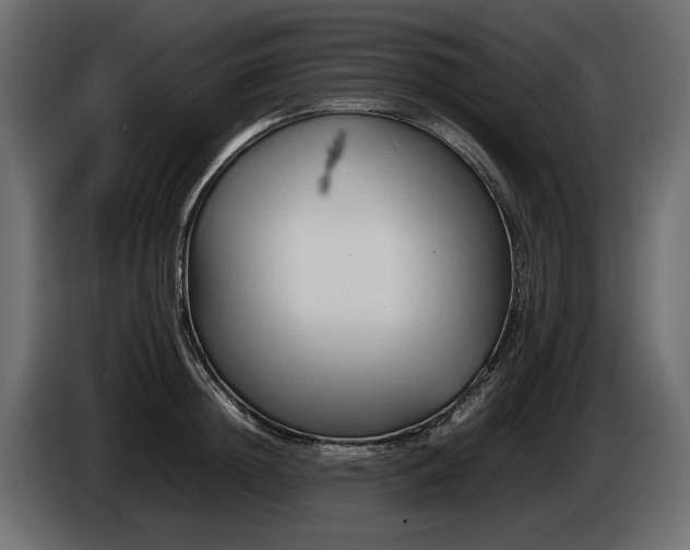 X0000085830852200703231418