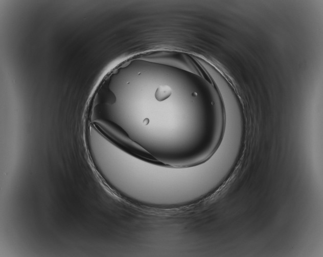 X0000085830854200703231418