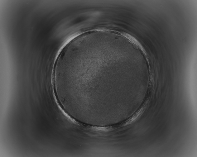 X0000085830855200703231418