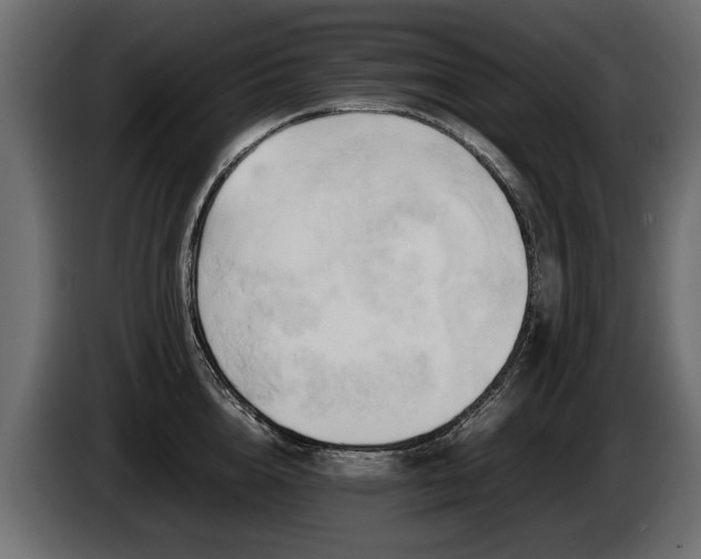 X0000085830856200703231418