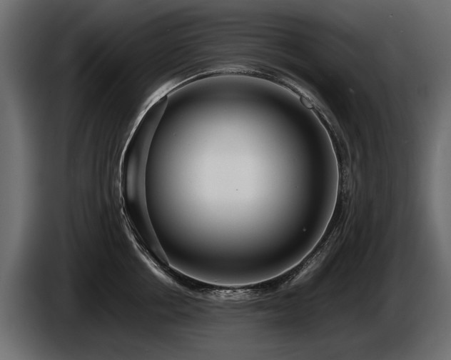 X0000085830858200703231418