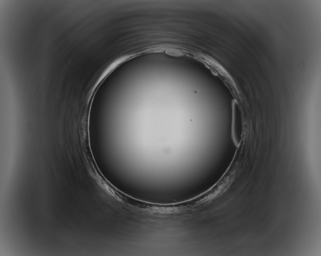 X0000085830860200703231418