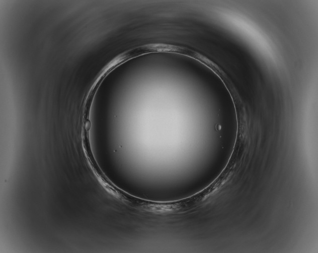 X0000085830861200703231419