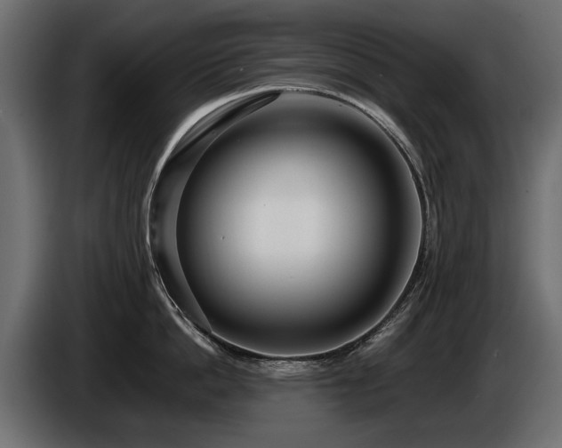 X0000085830862200703231419