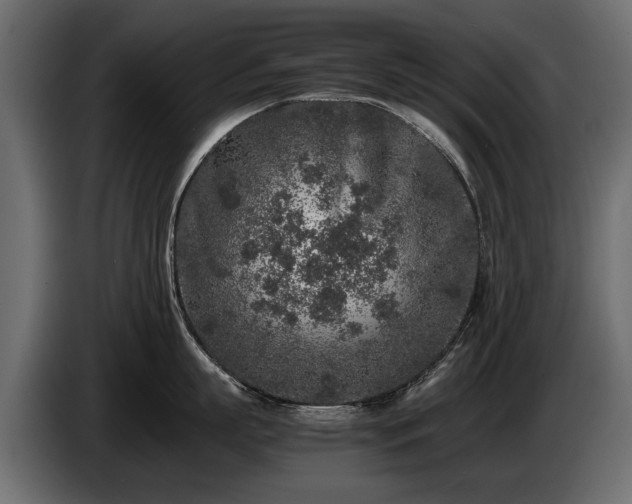 X0000085830863200703231419