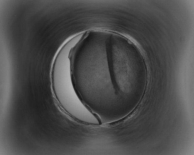 X0000085830864200703231419