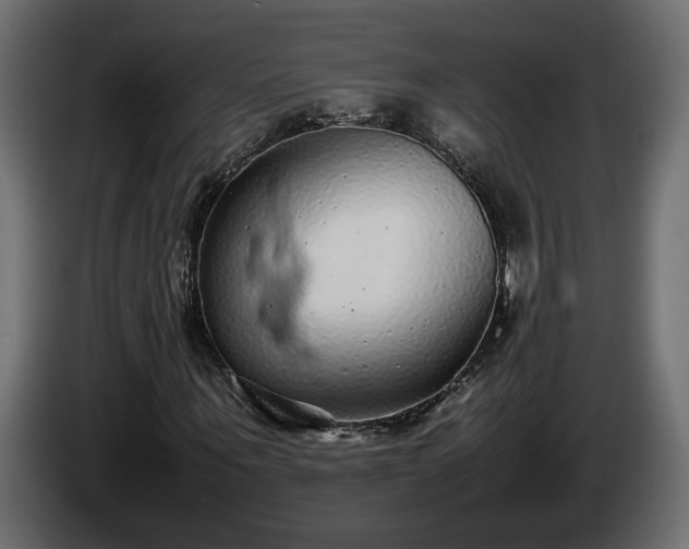 X0000085830867200703231418