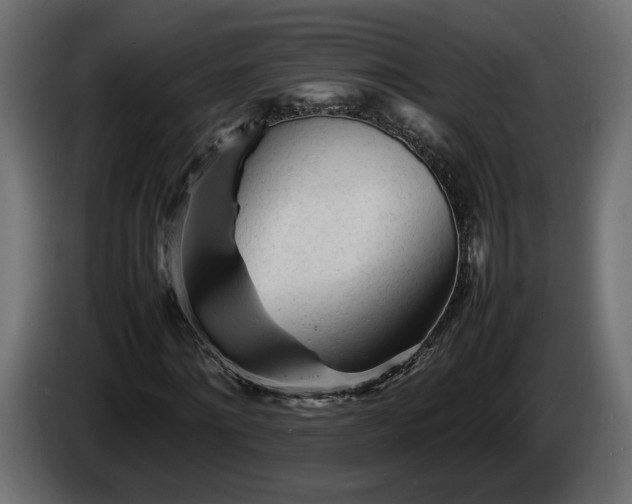 X0000085830868200703231418