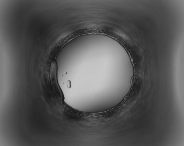 X0000085830869200703231418