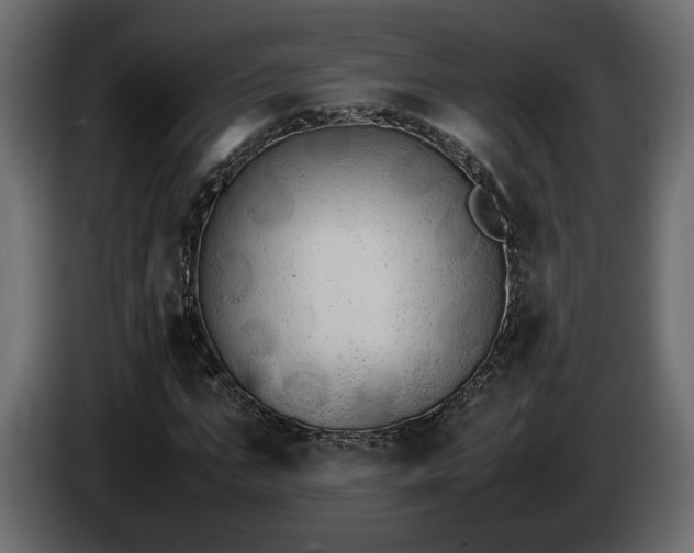 X0000085830871200703231418