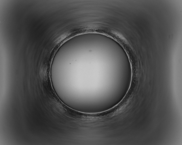 X0000085830873200703231418