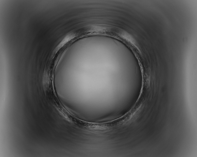 X0000085830874200703231418