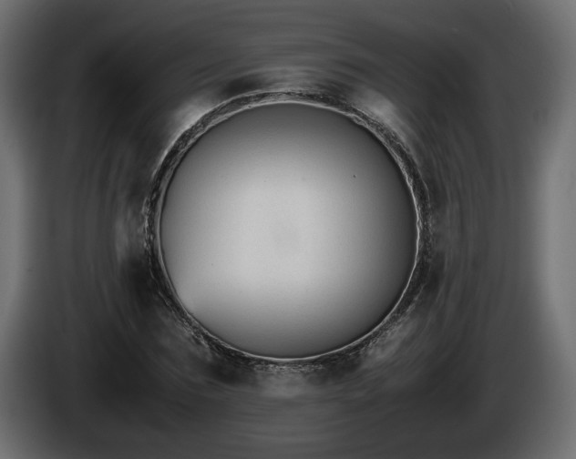 X0000085830875200703231418