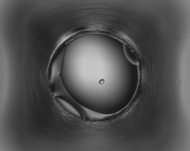 X0000085830876200703231418