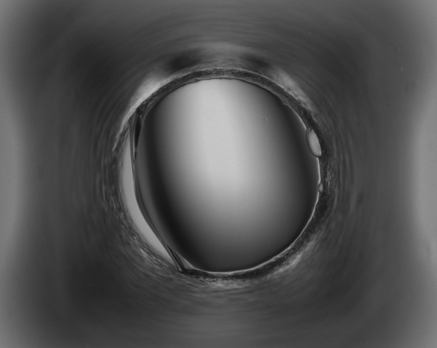 X0000085830877200703231418