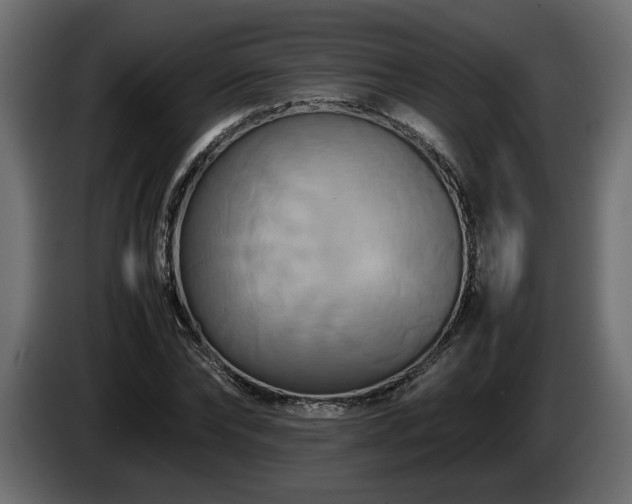 X0000085830878200703231418