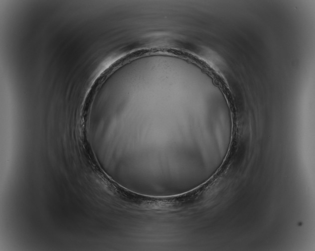 X0000085830879200703231418