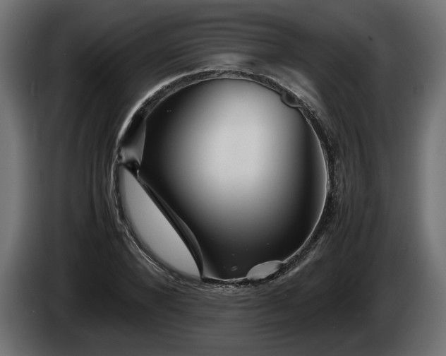 X0000085830880200703231418