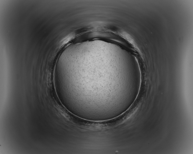 X0000085830881200703231418