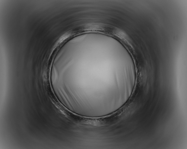 X0000085830882200703231418