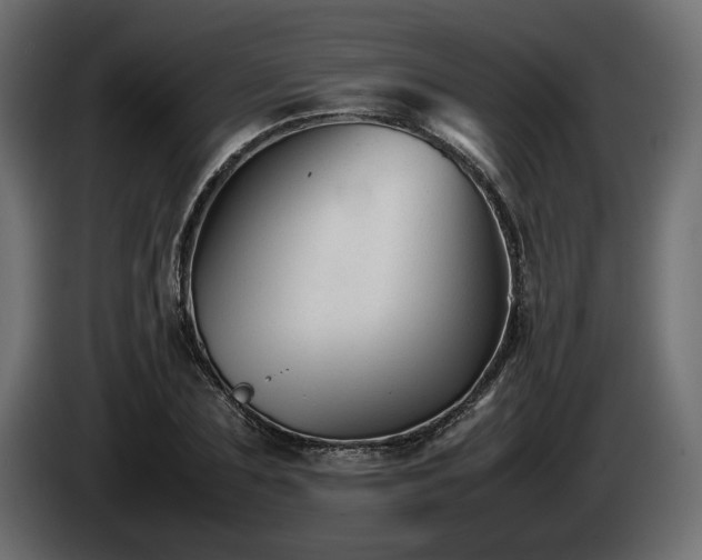 X0000085830883200703231418