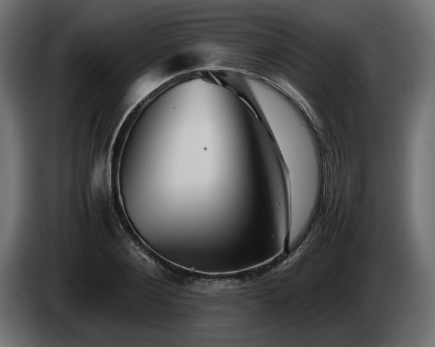 X0000085830884200703231418