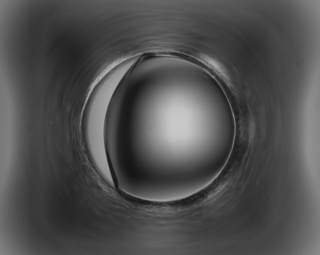 X0000085830885200703231418