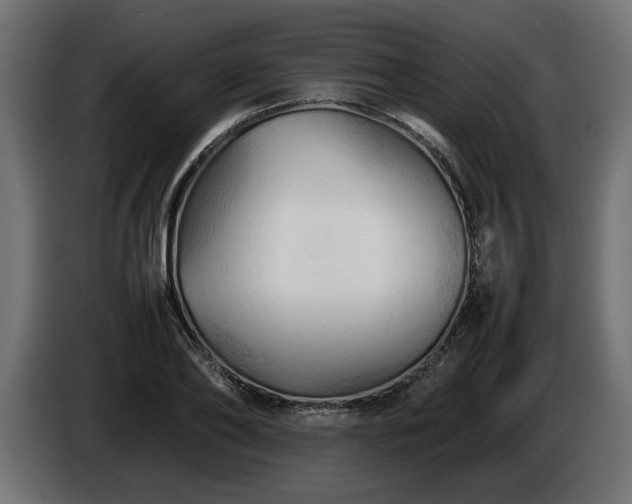 X0000085830886200703231418