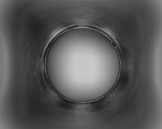 X0000085830887200703231418