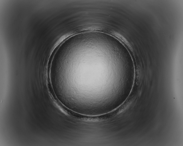 X0000085830890200703231418