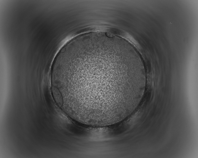 X0000085830891200703231417