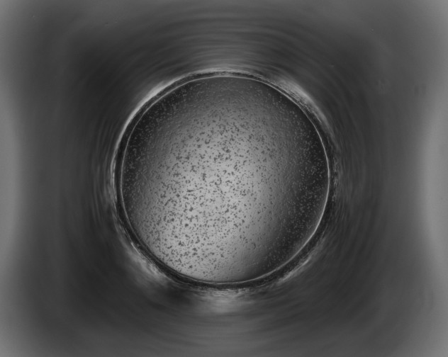 X0000085830892200703231417