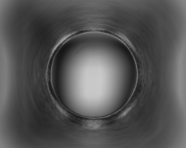 X0000085830893200703231417