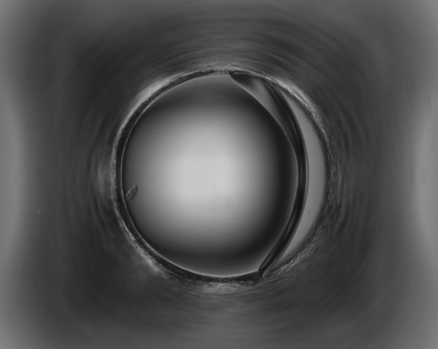 X0000085830894200703231417