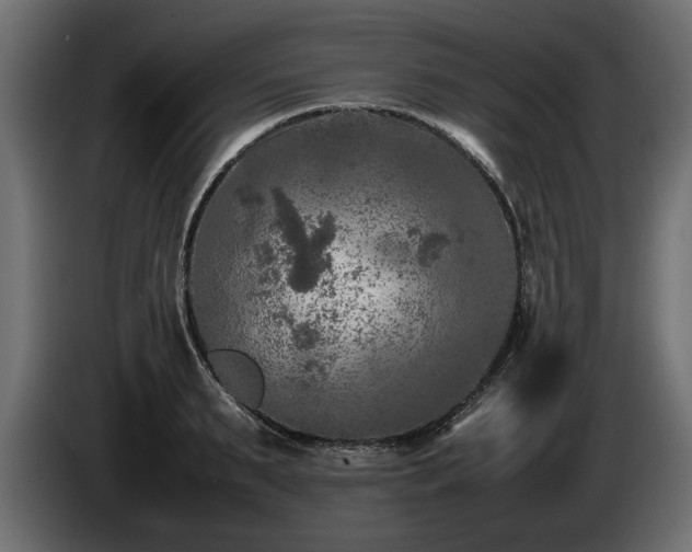 X0000085830895200703231417