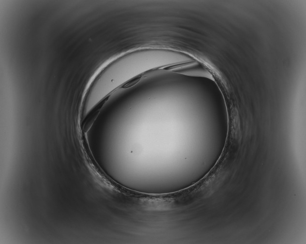 X0000085830896200703231417