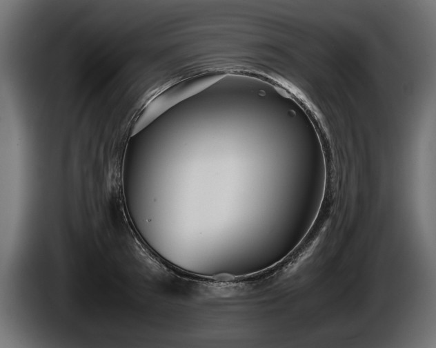 X0000085830897200703231417